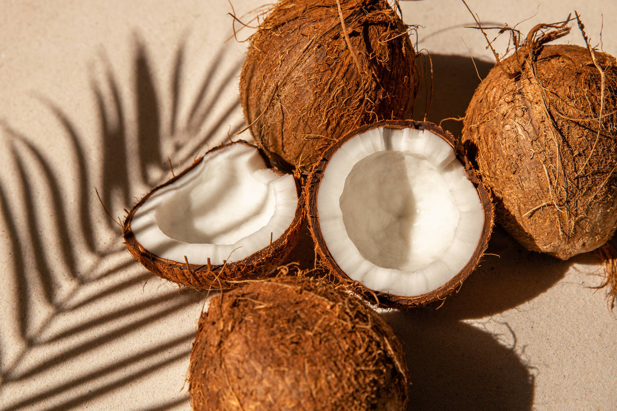 Coconut MCT Oil - 100% Pure Refined Oil: Plastic / 16oz