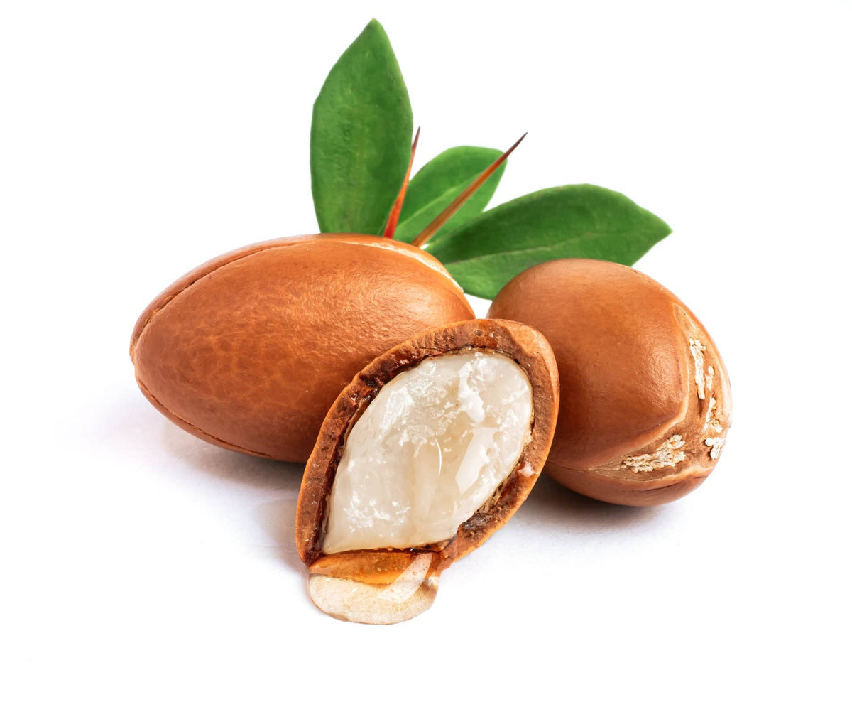 Argan Oil Moroccan - 100% Pure Oil: Plastic / 16oz